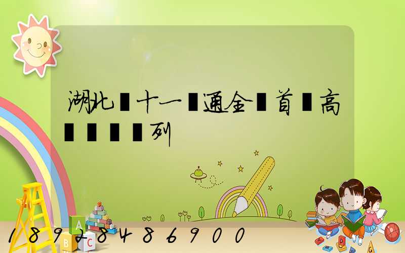 湖北雙十一開通全國首條高鐵貨運專列