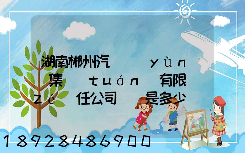 湖南郴州汽車運(yùn)輸集團(tuán)有限責(zé)任公司電話是多少