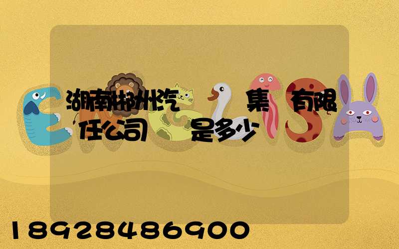 湖南郴州汽車運輸集團有限責任公司電話是多少