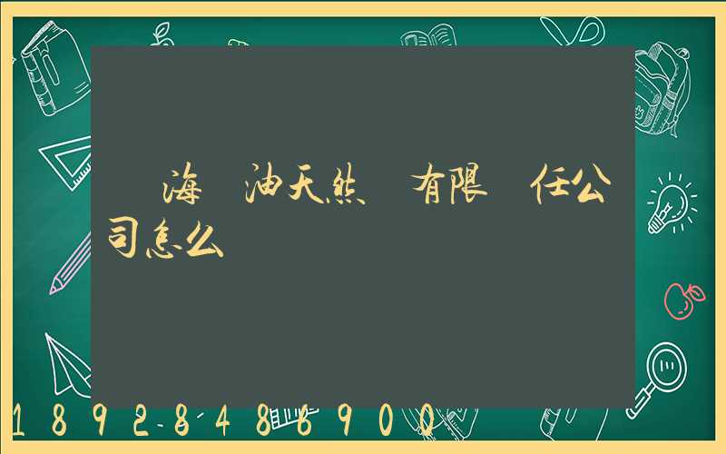 烏海華油天然氣有限責任公司怎么樣