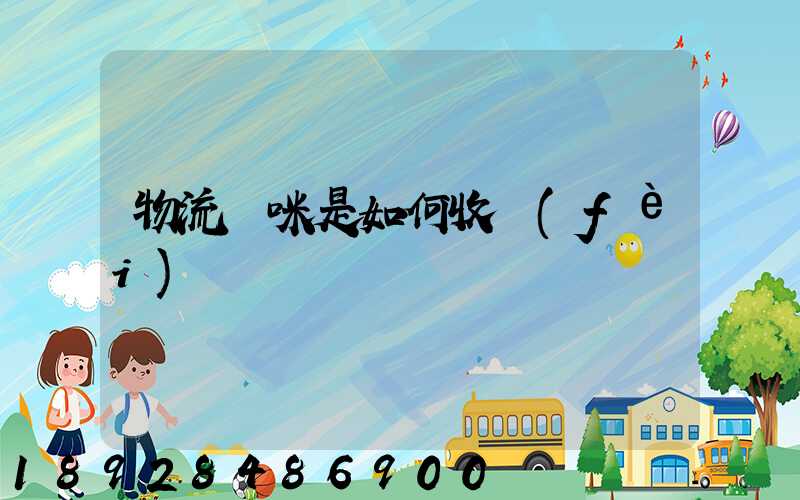 物流貓咪是如何收費(fèi)