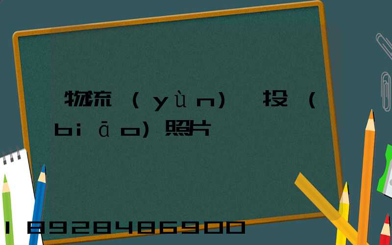 物流運(yùn)輸投標(biāo)照片