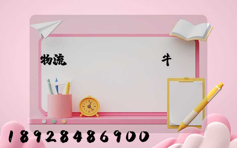 物流運(yùn)輸牛