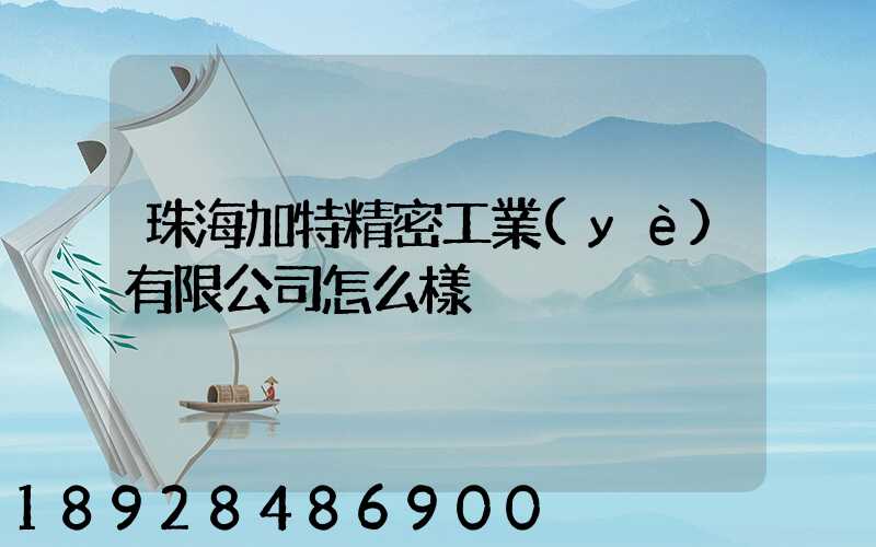 珠海加特精密工業(yè)有限公司怎么樣