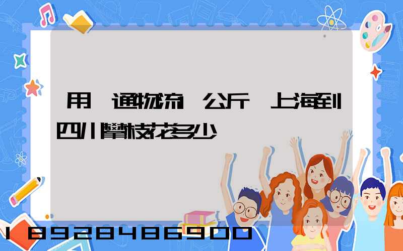 用圓通物流1公斤從上海到四川攀枝花多少錢