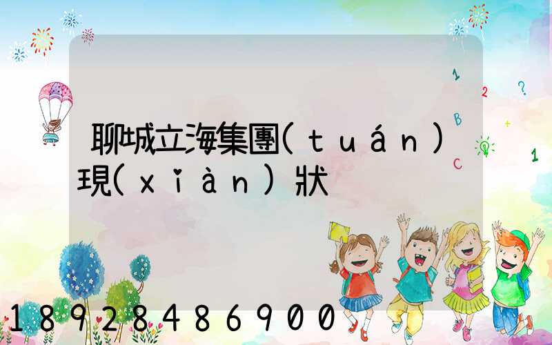 聊城立海集團(tuán)現(xiàn)狀