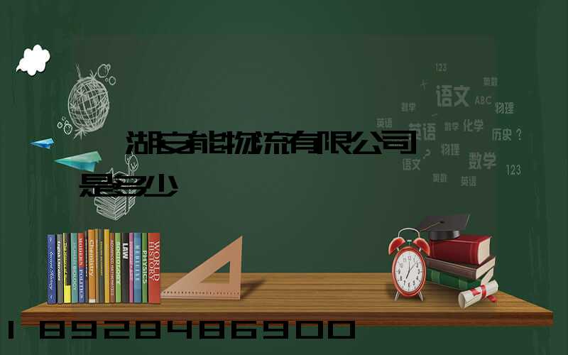 蕪湖安能物流有限公司電話是多少