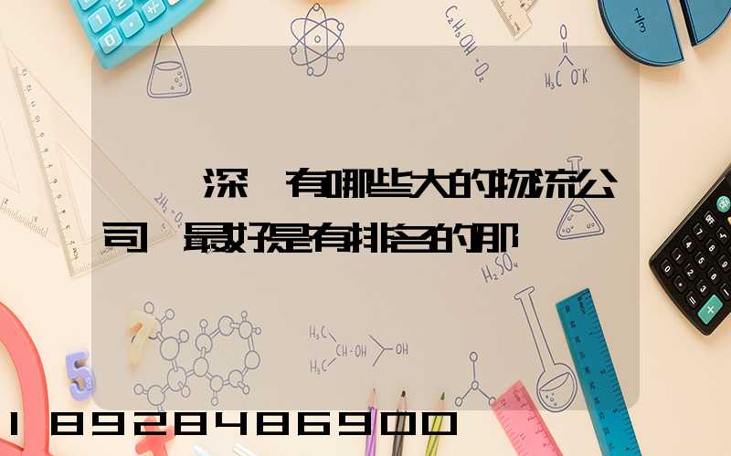 請問深圳有哪些大的物流公司,最好是有排名的那種