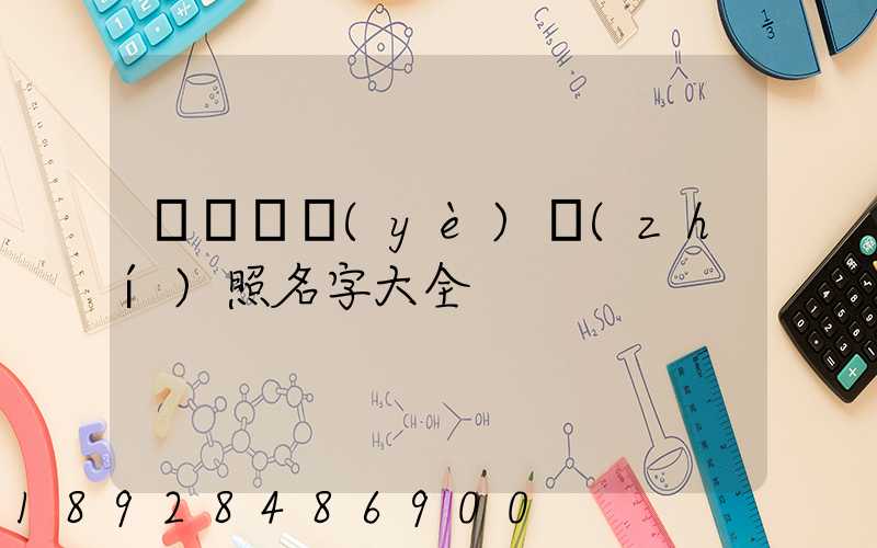 運輸營業(yè)執(zhí)照名字大全