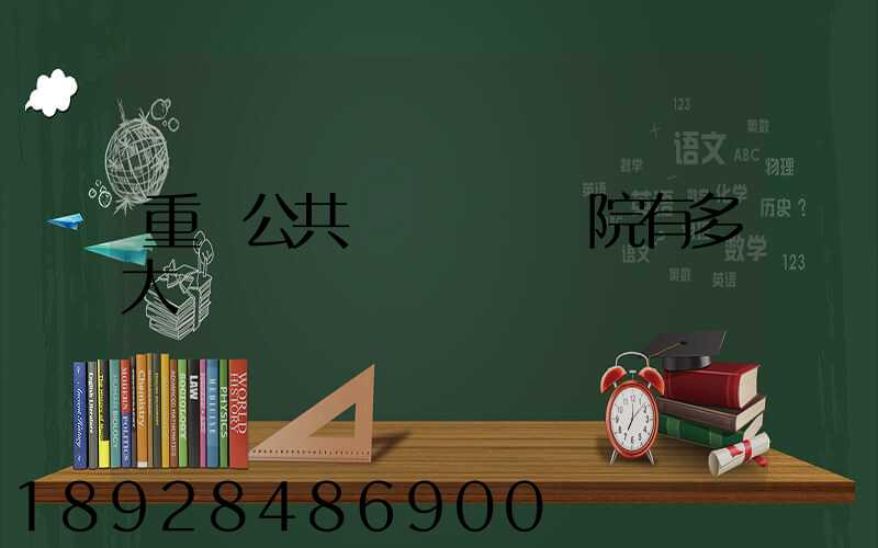 重慶公共運輸職業學院有多大