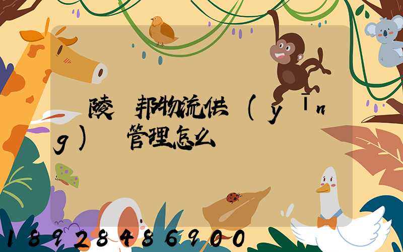 銅陵漢邦物流供應(yīng)鏈管理怎么樣