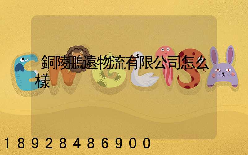 銅陵鵬遠物流有限公司怎么樣