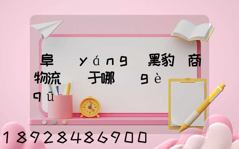 阜陽(yáng)黑豹電商物流園屬于哪個(gè)區(qū)