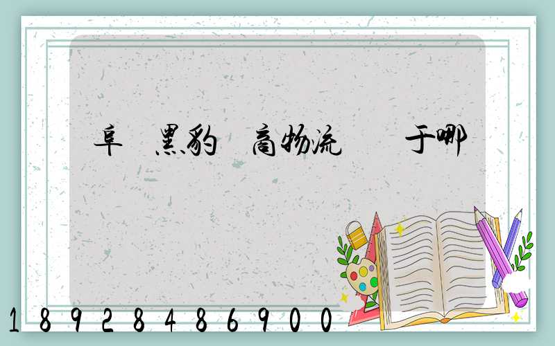 阜陽黑豹電商物流園屬于哪個區