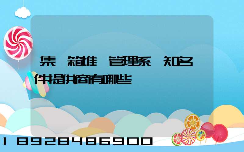 集裝箱堆場管理系統知名軟件提供商有哪些