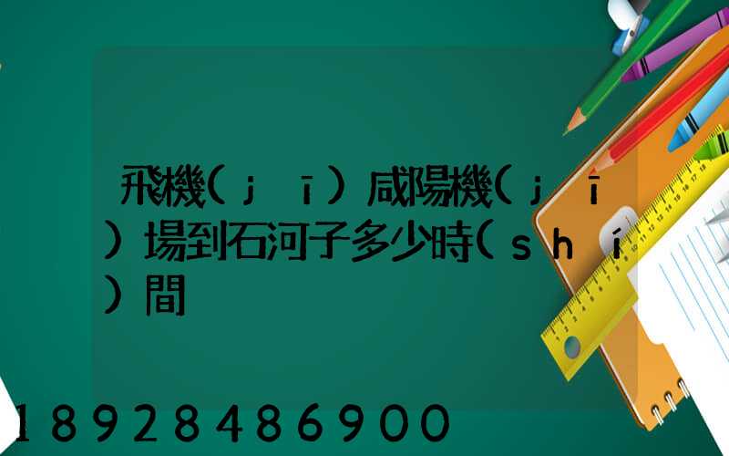 飛機(jī)咸陽機(jī)場到石河子多少時(shí)間